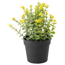 Load image into Gallery viewer, Potted Artificial Plant w/ Wild Flower 16x16x20cm