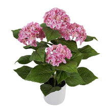 Load image into Gallery viewer, Potted Artificial Hydrangea 35x35x50cm