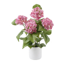 Load image into Gallery viewer, Potted Artificial Hydrangea 35x35x50cm