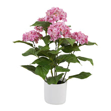 Load image into Gallery viewer, Potted Artificial Hydrangea 35x35x50cm