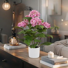 Load image into Gallery viewer, Potted Artificial Hydrangea 35x35x50cm