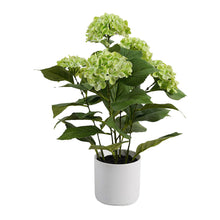 Load image into Gallery viewer, Potted Artificial Green Hydrangea 35x35x50cm