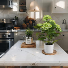 Load image into Gallery viewer, Potted Artificial Green Hydrangea 35x35x50cm