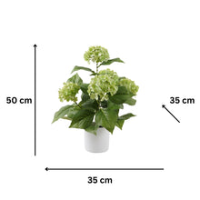 Load image into Gallery viewer, Potted Artificial Green Hydrangea 35x35x50cm