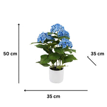 Load image into Gallery viewer, Potted Artificial Blue Hydrangea 35x35x50cm