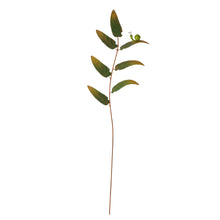 Load image into Gallery viewer, S/3 ASST LEAF STAKES WITH BUG/BIRD