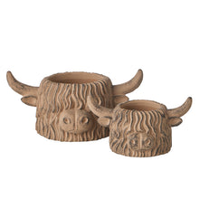 Load image into Gallery viewer, Hamish Hiland Cow Planter Large 23.5x15.5x11 cm