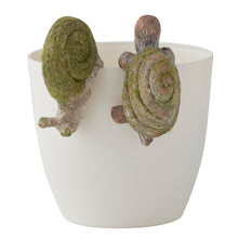 Load image into Gallery viewer, Set/2 Asst Snail & Tortoise w/ Moss Pot Hangers