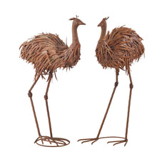 Load image into Gallery viewer, Set/2 Large Asstd Emus