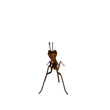 Load image into Gallery viewer, Lucky Praying Mantis 13.5x7.5x11cm