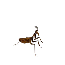Load image into Gallery viewer, Lucky Praying Mantis 13.5x7.5x11cm