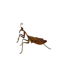 Load image into Gallery viewer, Lucky Praying Mantis 13.5x7.5x11cm