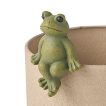 Load image into Gallery viewer, Jeremiah the Frog Pot Sitter Small 5.5x4.5x7.5 cm