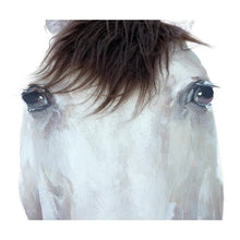 Load image into Gallery viewer, Horse Mugshot w/Artificial Hair Framed Canvas Wall Art 50x60cm