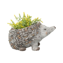 Load image into Gallery viewer, Stony Echidna Planter wHole & Plug 40x25x24cm
