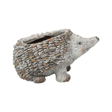 Load image into Gallery viewer, Stony Echidna Planter wHole & Plug 40x25x24cm