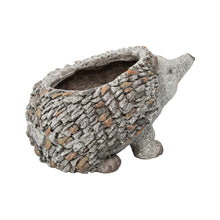 Load image into Gallery viewer, Stony Echidna Planter wHole & Plug 40x25x24cm