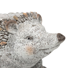 Load image into Gallery viewer, Stony Echidna Planter wHole & Plug 40x25x24cm