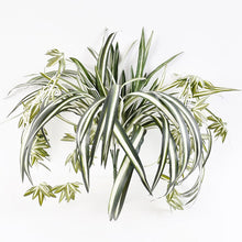 Load image into Gallery viewer, Artificial Faux Hanging Spider Plant Bush 60cm(4/144)
