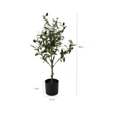 Load image into Gallery viewer, Potted Artificial Olive Tree 60cm
