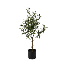 Load image into Gallery viewer, Potted Artificial Olive Tree 60cm
