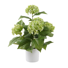 Load image into Gallery viewer, Potted Artificial Green Hydrangea 35x35x50cm
