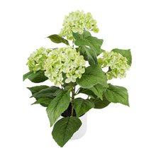 Load image into Gallery viewer, Potted Artificial Green Hydrangea 35x35x50cm
