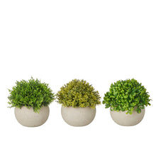 Load image into Gallery viewer, S/3 Grass in Paper Pulp Pot 11*11*13/12.5*12.5*13/13*13*12cm
