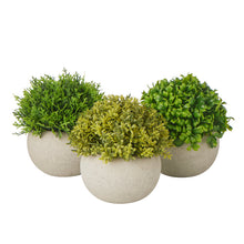 Load image into Gallery viewer, S/3 Grass in Paper Pulp Pot 11*11*13/12.5*12.5*13/13*13*12cm
