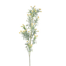 Load image into Gallery viewer, Pine Cone Single Stem 15x15x75cm
