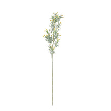 Load image into Gallery viewer, Pine Cone Single Stem 15x15x75cm
