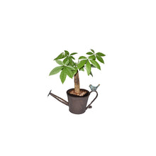 Load image into Gallery viewer, Watering Can Shape Potplanter w/Blue Flower 28x13x15cm
