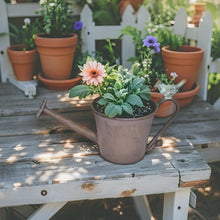 Load image into Gallery viewer, Watering Can Shape Potplanter w/Blue Flower 28x13x15cm
