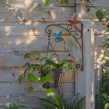 Load image into Gallery viewer, Hanging Potplanter w/Pot + Wall Bracket + Hummingbirds 34x18x55cm
