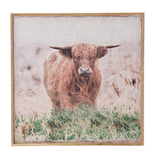 Load image into Gallery viewer, Standing Highland Cow Framed Canvas 42x42x3.7HCM
