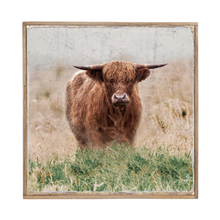 Load image into Gallery viewer, Standing Highland Cow Framed Canvas 42x42x3.7HCM
