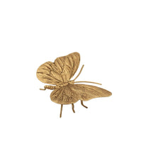 Load image into Gallery viewer, Butterfly Sculpture Gold 11*8*3.5
