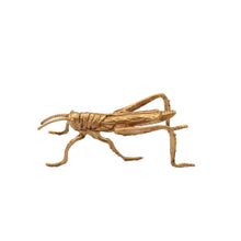 Load image into Gallery viewer, Grasshopper Sculpture Gold14*5.5*5
