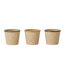Load image into Gallery viewer, S/3 Bee-Kind Asst Pots 14.5x14.5x12.5 cm
