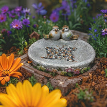 Load image into Gallery viewer, Birdbath w/Colour Birds/Flowers/Pebble Butterfly 40x30x20cm
