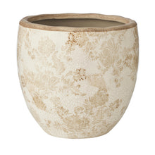 Load image into Gallery viewer, French Country Lge Pot Planter 20x20x19cm

