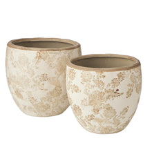 Load image into Gallery viewer, French Country Lge Pot Planter 20x20x19cm
