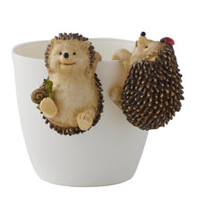 Load image into Gallery viewer, Set/3 Asst Hedgehogs w/ Snail &amp; Ladybug Pot Hangers
