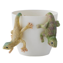 Load image into Gallery viewer, Set/3 Asst Chameleon Pot Hangers
