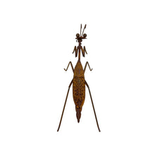 Load image into Gallery viewer, Lucky Praying Mantis 13.5x7.5x11cm

