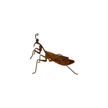 Load image into Gallery viewer, Lucky Praying Mantis 13.5x7.5x11cm
