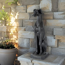 Load image into Gallery viewer, Majestic Sitting Greyhound Statue 35x26x82cm

