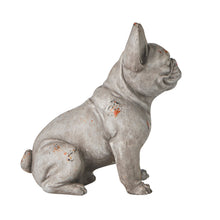 Load image into Gallery viewer, Diesel Dog 40x23x43cm
