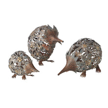 Load image into Gallery viewer, S/3 Bushland Echidna 35X20X21.6/33.7X15X29/26.7X13X16.5CM
