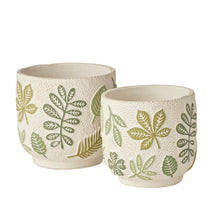 Load image into Gallery viewer, Leaf it to Me Pot Small 12.5x12.5x11.5 cm
